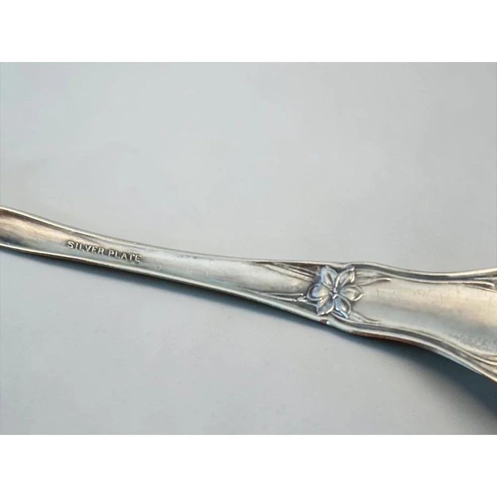 Vintage Art Nouveau Silver Plate Sugar Spoon Floral Lily Scalloped Bowl Serving